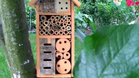 Fot. Maria Felka-Dróżdż