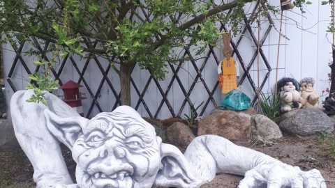 Fot. Joanna Młodzieniak