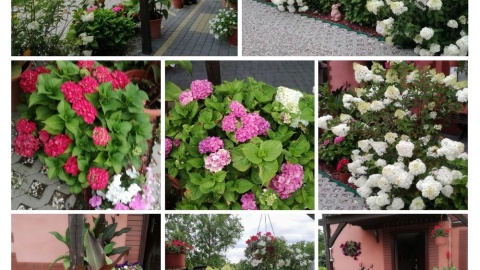 Fot. Krzysztof Lipiński