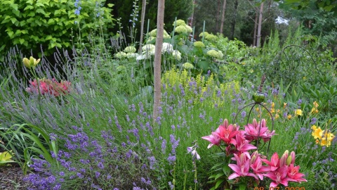 Fot. Barbara Naparta z Osia