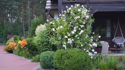 Fot. Barbara Naparta z Osia