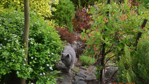 Fot. Barbara Naparta z Osia