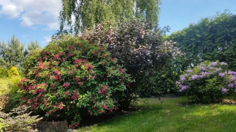 Kolejne laury w działkowym konkursie