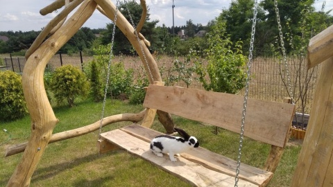 Fot. Karol Burczyński z miejscowości Zawady