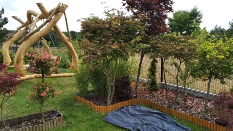 Fot. Karol Burczyński z miejscowości Zawady