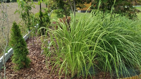 Fot. Karol Burczyński z miejscowości Zawady