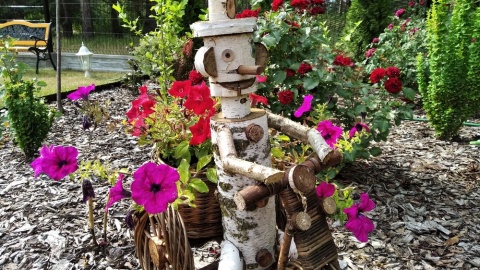 Fot. Karol Burczyński z miejscowości Zawady