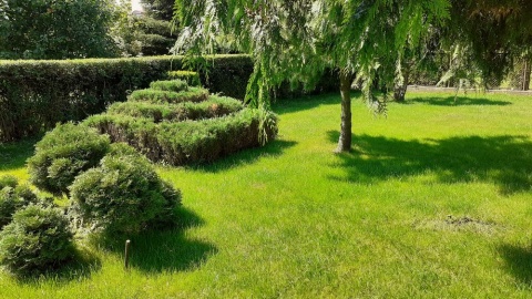 Fot. Agnieszka Nowakowska