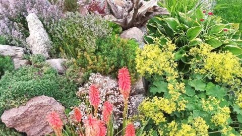 Fot. Paweł Szymański