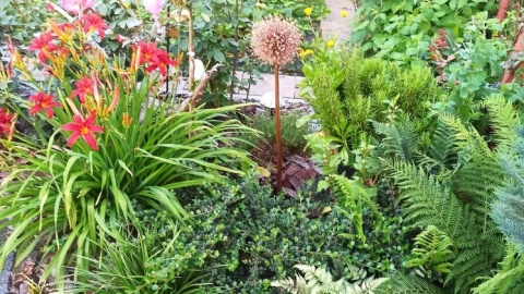 Fot. Paweł Szymański