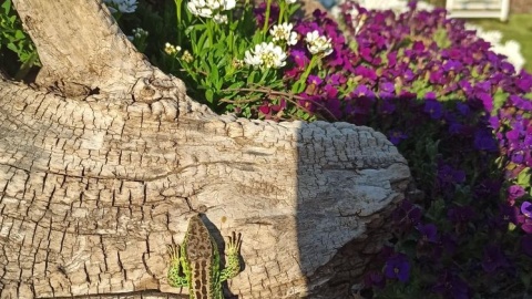 Fot. Paweł Szymański