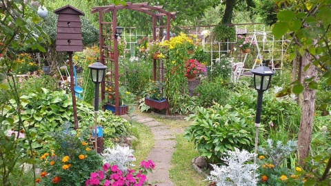 Nasza działka. Fot. Barbara i Piotr Domańscy