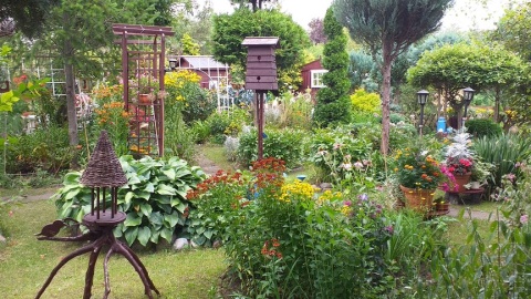 Nasza działka. Fot. Barbara i Piotr Domańscy