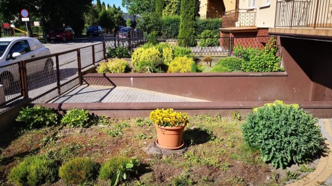 Działkowa metamorfoza. Fot. Martyna Mrugalska