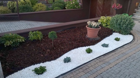 Działkowa metamorfoza. Fot. Martyna Mrugalska