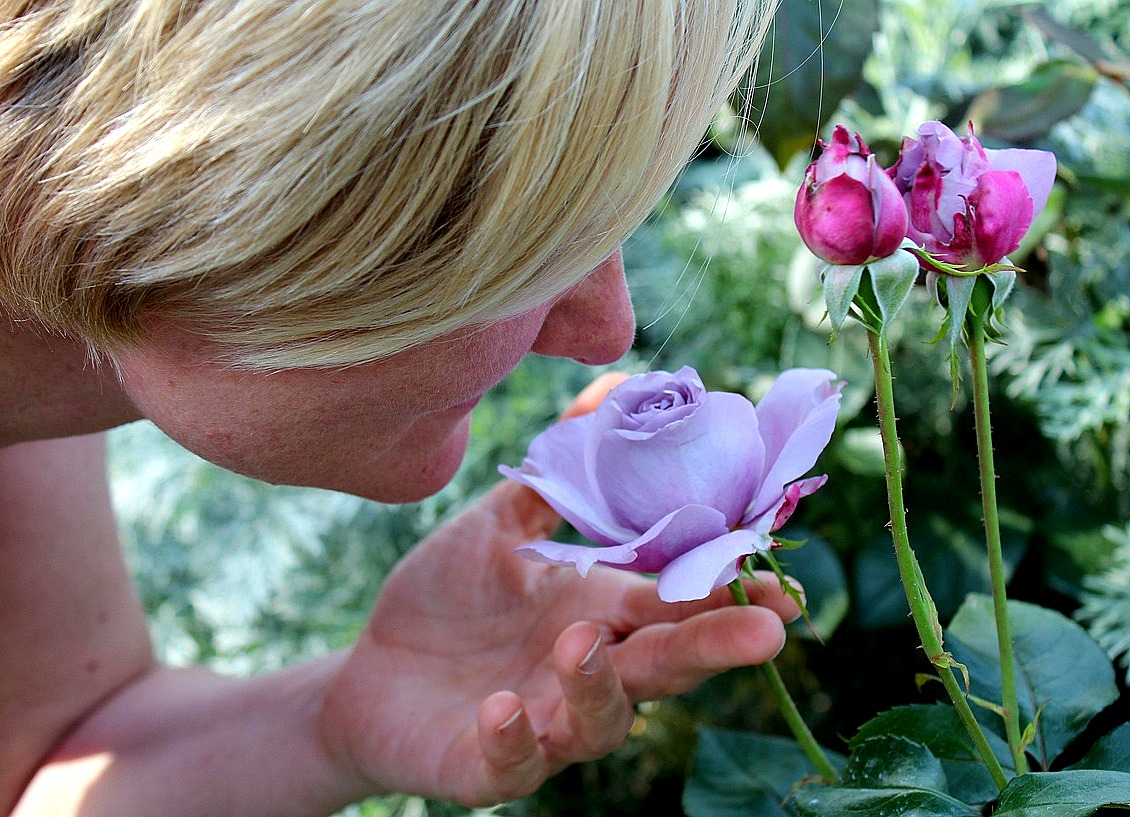 19 lutego 2026 (powtórka)