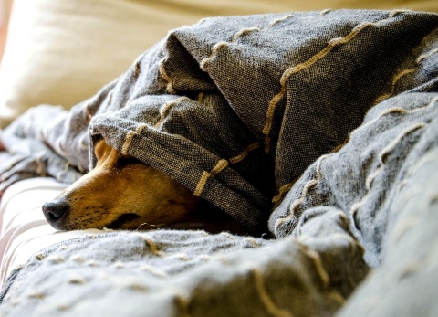 23 października 2025