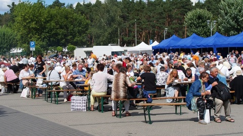 Akcja zdrowotna i piknik w Toruniu. (jw)