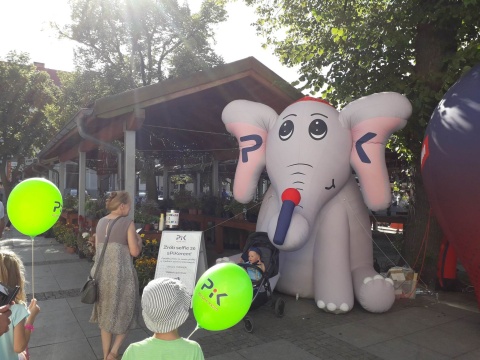 Słoń sPiKer odwiedził Chełmno na 9 Hills Festival [12 sierpnia 2023 r.]
