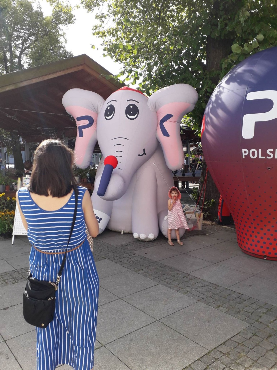 fot. Polskie Radio PiK/nk