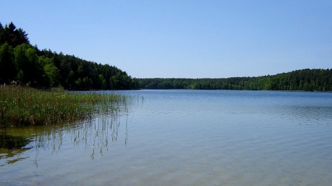 Bez placu zabaw, budki z frytkami czy przebieralni, za to z cudowną przyrodą i wodą pierwszej klasy czystości. Fot. Włodzimierz Wysocki/pl.wikipedia.org