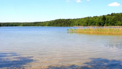 Bez placu zabaw, budki z frytkami czy przebieralni, za to z cudowną przyrodą i wodą pierwszej klasy czystości. Fot. nadesłane/Wdecki Park Krajobrazowy