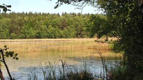 Bez placu zabaw, budki z frytkami czy przebieralni, za to z cudowną przyrodą i wodą pierwszej klasy czystości. Fot. nadesłane//Wdecki Park Krajobrazowy