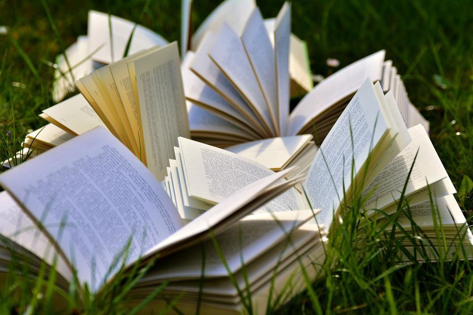 Książkowe rekomendacje na wakacje. Fot. ilustracyjna/pixabay.com