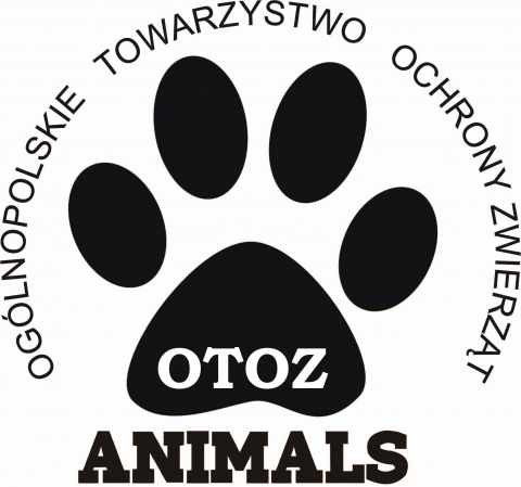 Ogólnopolskie Towarzystwo Ochrony Zwierząt OTOZ Animals