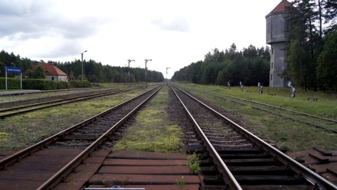 Jaką tajemnicę kryje grób nieopodal stacji w Lipowej Tucholskiej. Fot. Henryk Żyłkowski