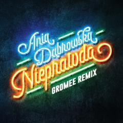Nieprawda (Gromee Remix) - Ania Dąbrowska