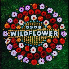 Wildflower - 5 Seconds Of Summer