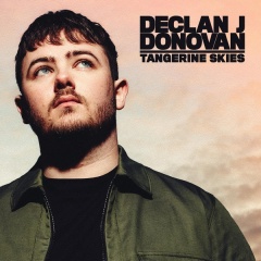 Tangerine Skies - Declan J Donovan