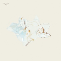 Ptaki - LemON
