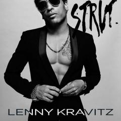 New York City - Lenny Kravitz