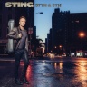 Sting - One Fine Day