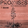 Calvin Harris & Sam Smith - Promises