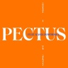 Pectus feat. Kasia Popowska - Najlepiej być w podróży