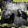 The Struts feat. Robbie Williams - Strange Days
