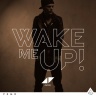 Avicii - Wake Me Up