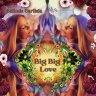 Belinda Carlisle - Big Big Love