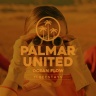Palmar United feat. BeeStays - Ocean Flow