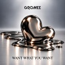 Gromee - Want What You Want