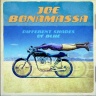 Joe Bonamassa - Different Shades Of Blue