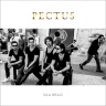 Pectus - Barcelona