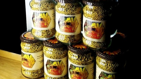 „Pasieka przy Forcie” pozyskuje miód wielokwiatowy oraz pyłek pszczeli. Fot. facebook.com/przyforciepasieka