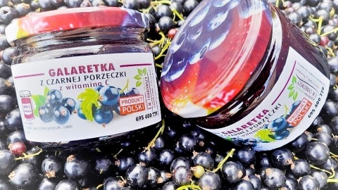 Galaretka z porzeczki z witaminą C. Fot. lokalna-zywnosc.pl