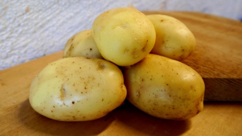 Młode ziemniaki. Fot. lokalna-zywnosc.pl