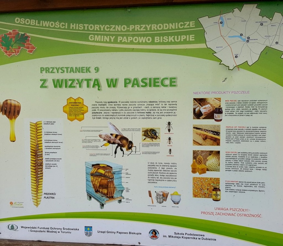 Na słodko, z rzemiosłem, naturą i historią. Fot. MikołajKuras/lokalna-zywnosc.pl