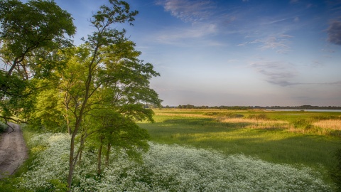 Przyroda i historia. Fot. Nadgoplański Park Tysiąclecia